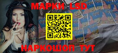 индика Гусев