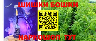 индика Гусев