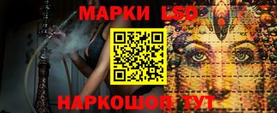 индика Гусев